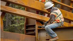 Esto recomiendan para no perder el permiso de empleo tras la cancelación de su extensión automática