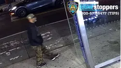 Man wanted for trying to rob livery cab driver in Prospect Heights
