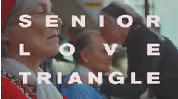 Senior Love Triangle