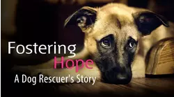 Fostering Hope A Dog Rescuers Story
