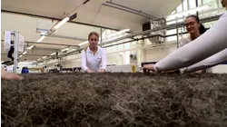 Beds, Space Freighters