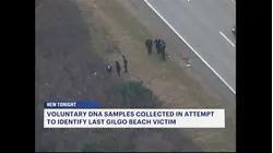 DA collects DNA in push to identify 'Asian Doe' - the last unidentified Gilgo Beach victim