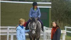 A Horse of a Different Color