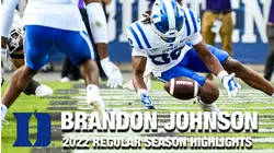 Brandon Johnson 2022 Regular Season Highlights | Duke DB