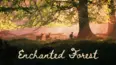 The Enchanted Forest