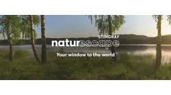 Whispers of the Seasons