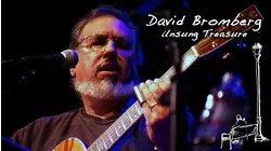 David Bromberg Unsung Treasure