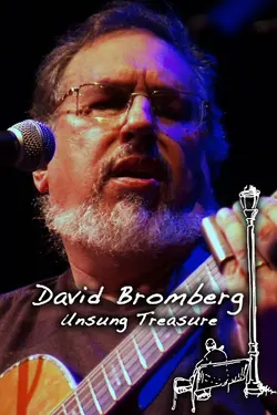 David Bromberg Unsung Treasure