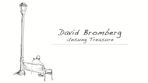 David Bromberg Unsung Treasure