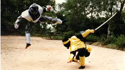 Ninja Hunt