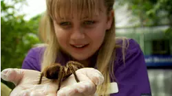 No Room For Phobias