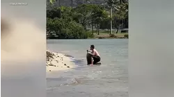 Man caught on video grabbing sea turtle on Hawaii beach for photo