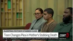 Derek Rosa Pleads Guilty in Mother Irina Garcia's Stabbing Death
