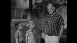 Dennis The Menace: S1 E25 - Dennis And The Bees
