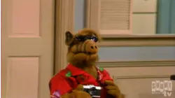 ALF: S1 E25 - Come Fly with Me
