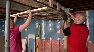 Basement Bedlam