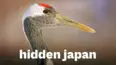 Hidden Japan