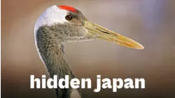 Hidden Japan