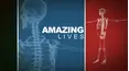 Amazing Lives