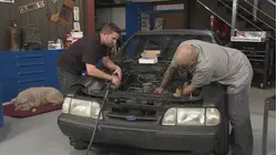 Fox Body Mustang