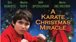 A Karate Christmas Miracle