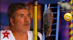 SMARTEST RAT In The World Surprises Everyone On America's Got Talent 2019! | Got Talent Global