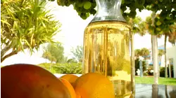 How To Do Lake County Adventure And Florida Style Sangria