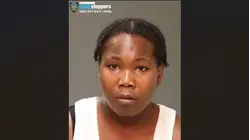 Woman allegedly stabs rideshare driver after trying to pay him with fake cash in Williamsbridge