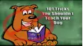 Funniest Pets & People