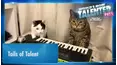 World's Most Talented Pets