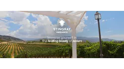 Vineyard Napa Skies