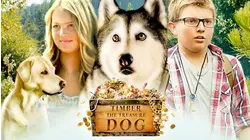 Timber The Treasure Dog