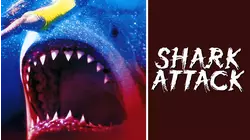 Shark Attack
