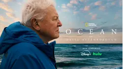 World Oceans Day highlights need for protected areas