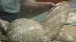 Rye Bread