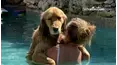 Best Pets of the Month