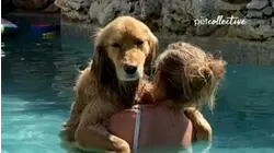 Ep. 4.2