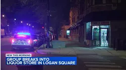 Thieves break into Logan Square liquor store: CPD