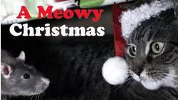 A Meowy Christmas