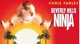 Beverly Hills Ninja