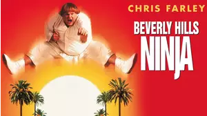 Beverly Hills Ninja