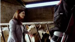 Roscommon to Vancouver