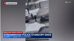 1 in custody after Streamwood standoff