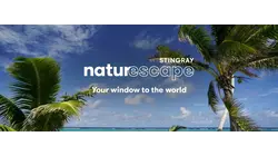 Return to Paradise 2