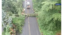 Overnight storms bring down massive tree, cut power & shut down road in Mountainside