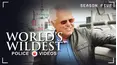 World's Wildest Police Videos