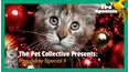 TPC Paw-liday Special II