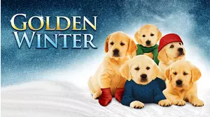 Golden Winter