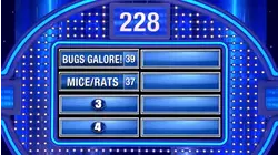 If the Curtis fam wins this round, they win a car!!