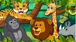 Jungle Animals Where Are You